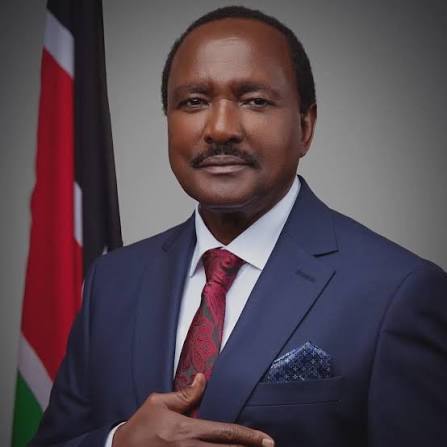 Stephen Kalonzo Musyoka